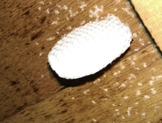 ミツバチの巣駆除床下